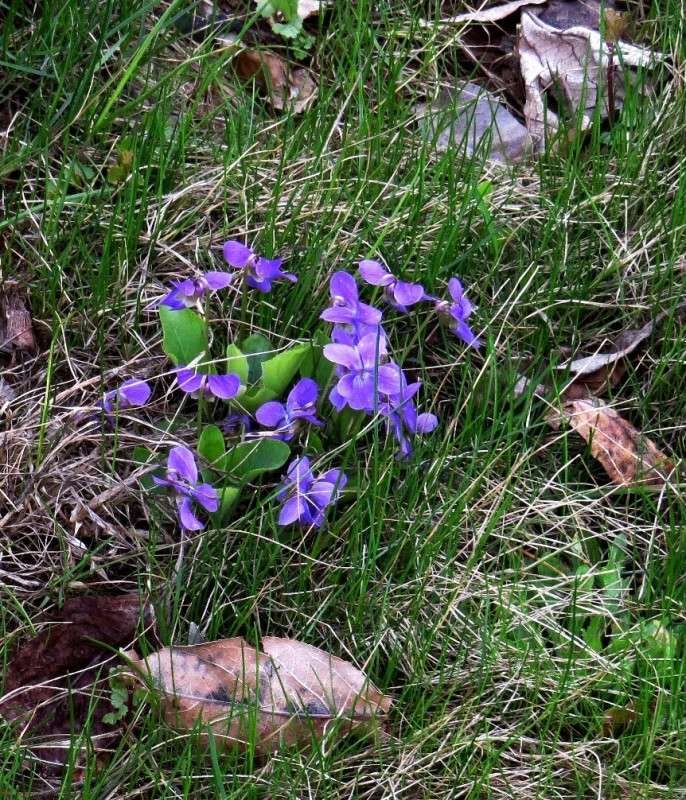 ����� ������ ! ) ����� Natali  ��������� �� PhotoGeek.ru #������ ��� ������� #����� ��������������