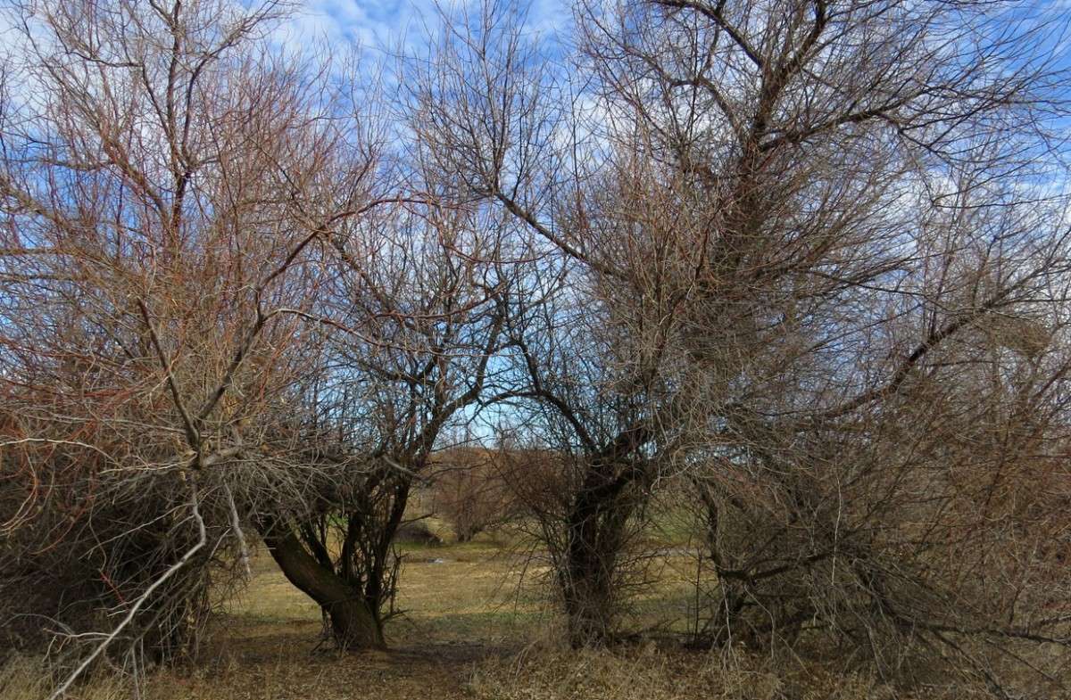 �� ������ ����� Natali  ��������� �� PhotoGeek.ru #������ ��� ������� #����� ��������������