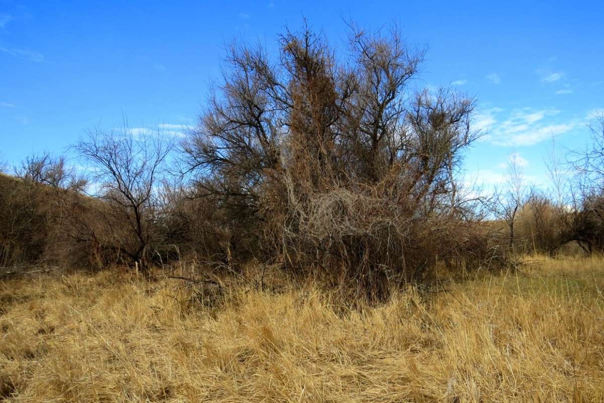 ���� ������ �� �������� ) ����� Natali  ��������� �� PhotoGeek.ru #������ ��� ������� #����� ��������������