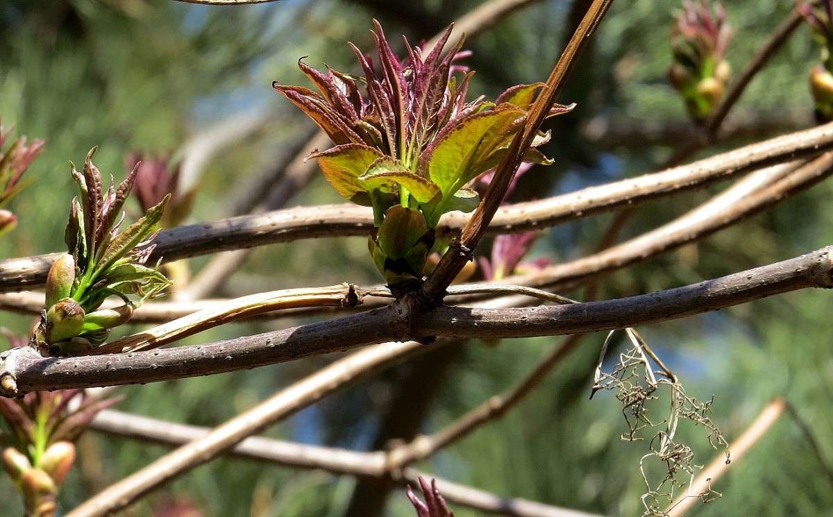 ����� ������  ! ... 2 ... ) ����� Natali  ��������� �� PhotoGeek.ru #������ ��� ������� #����� ��������������