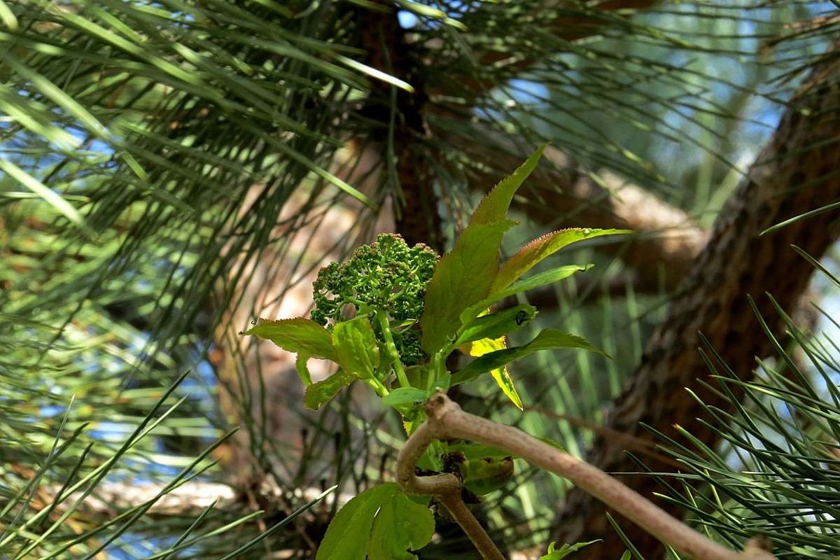 ����� ��� ������� .... ))) ����� Natali  ��������� �� PhotoGeek.ru #������ ��� ������� #����� ��������������