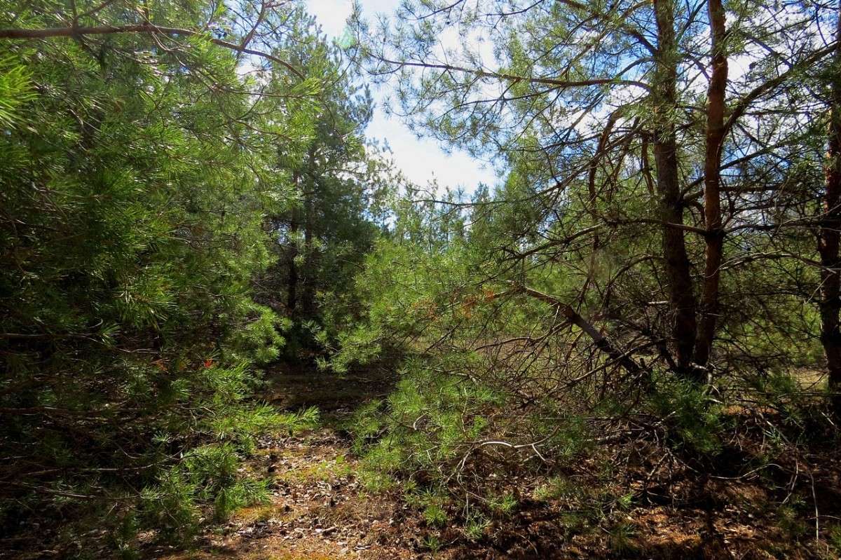 ������ ����� ��������� ... ))) ����� Natali  ��������� �� PhotoGeek.ru #������ ��� ������� #����� ��������������