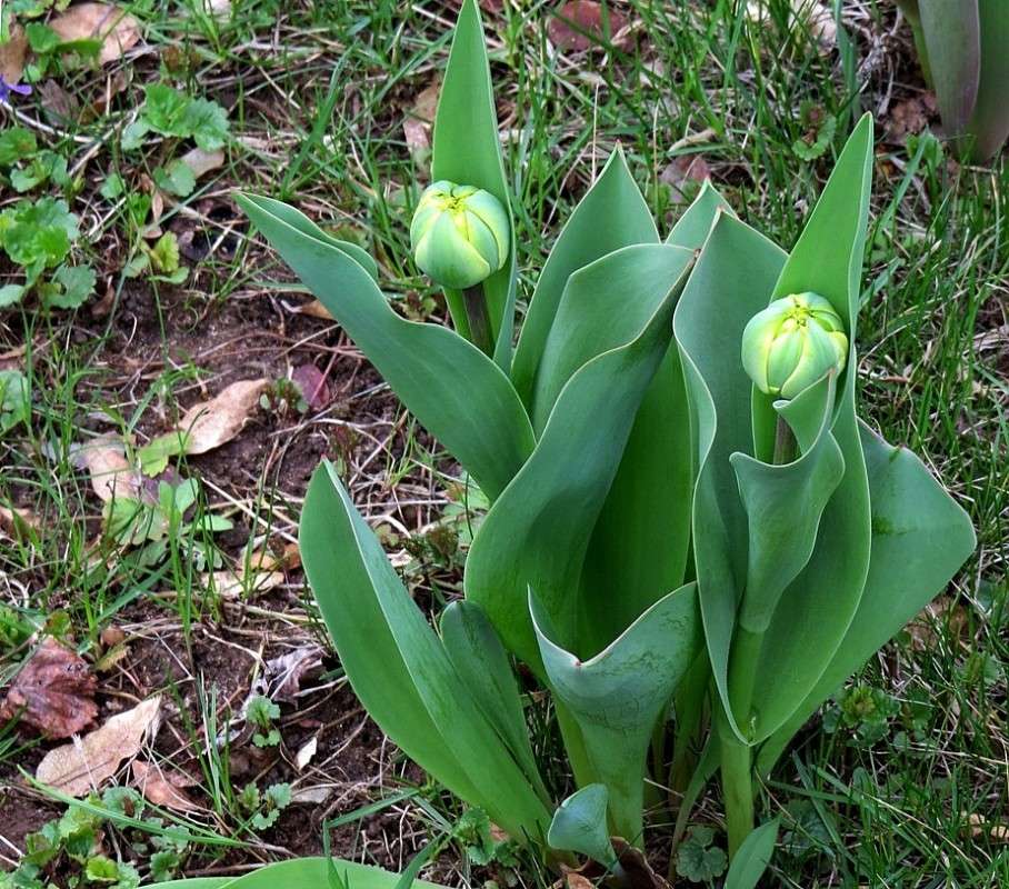 ... ����� Natali  ��������� �� PhotoGeek.ru #������ ��� ������� #����� ��������������