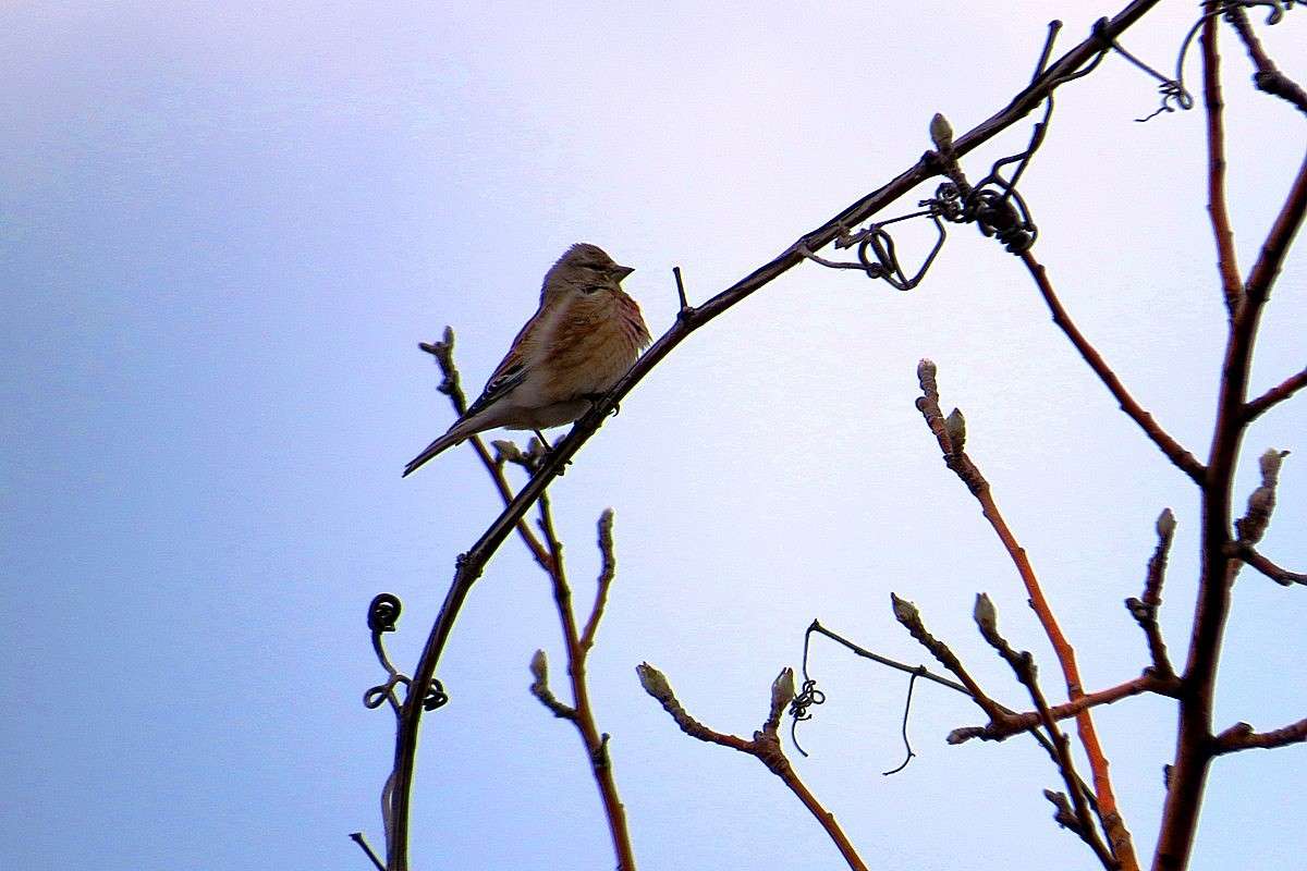 ... ����� Natali  ��������� �� PhotoGeek.ru #�������� ��� #������ ��� �������