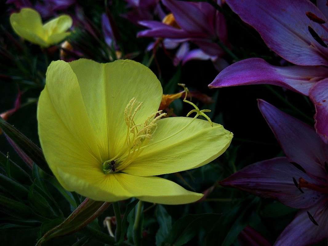 ... ����� Natali  ��������� �� PhotoGeek.ru #������ ��� ������� #����� ��������������