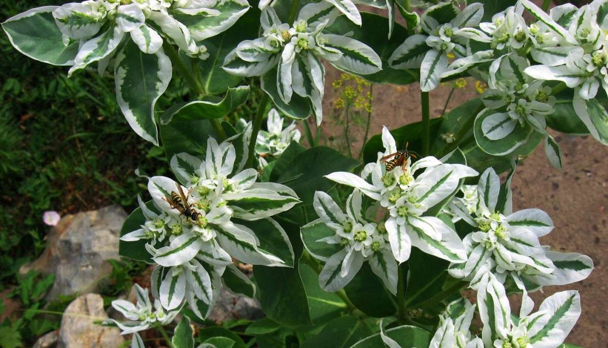 ... ����� Natali  ��������� �� PhotoGeek.ru #������ ��� ������� #����� ��������������