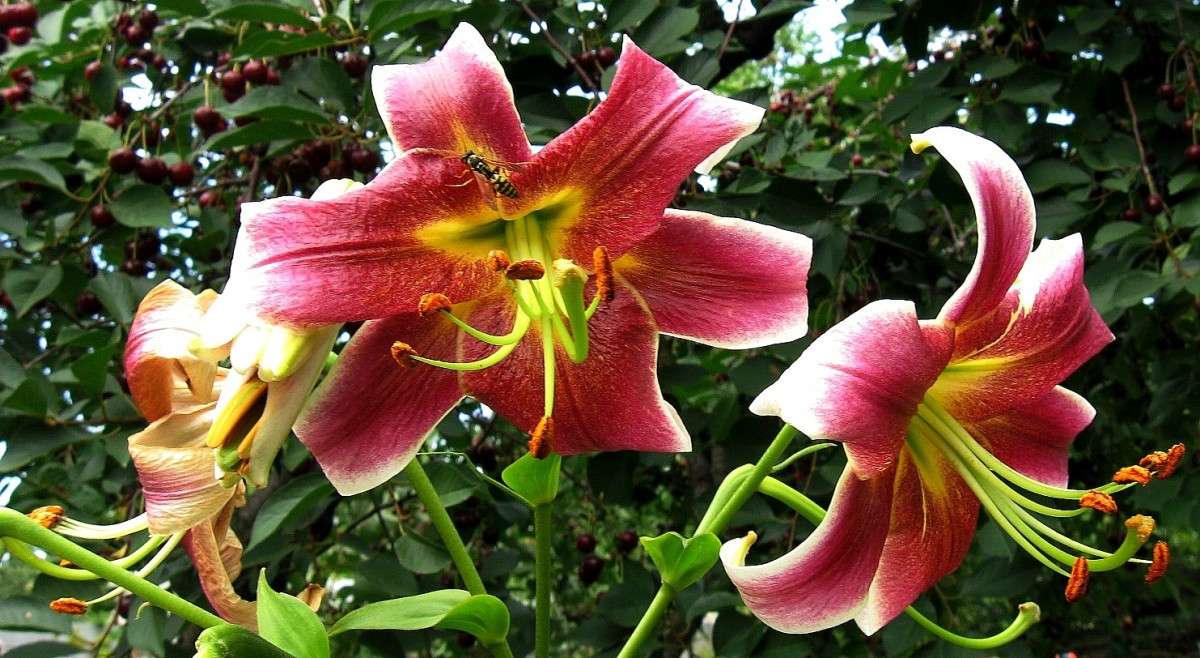 ... ����� Natali  ��������� �� PhotoGeek.ru #������ ��� ������� #����� ��������������