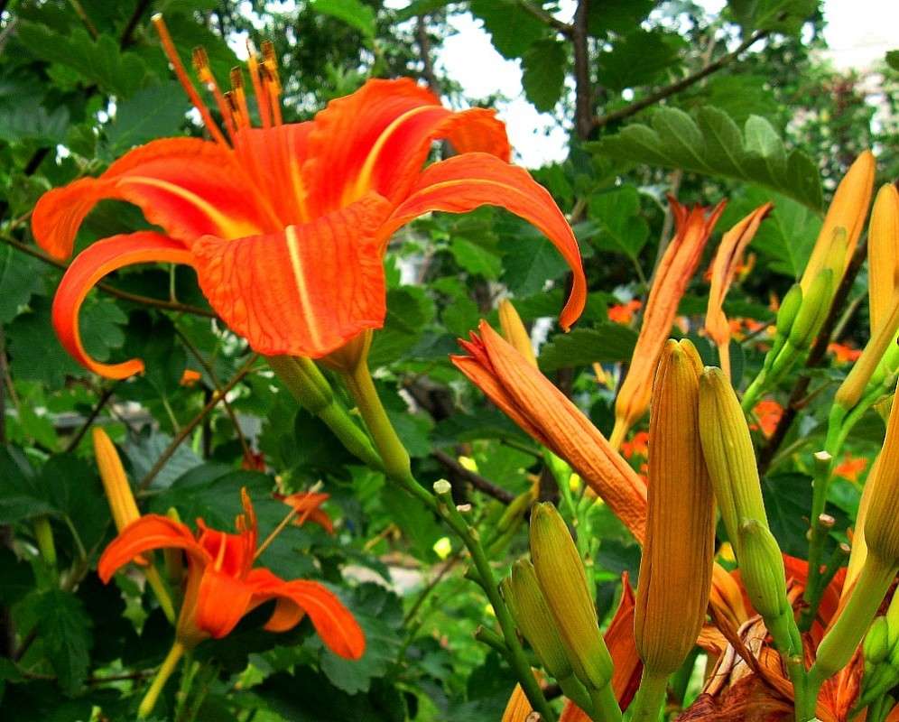 � �������.... ����� Natali  ��������� �� PhotoGeek.ru #������ ��� ������� #����� ��������������