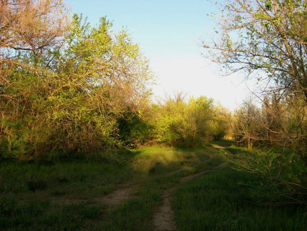 �������� ����� ����� Natali  ��������� �� PhotoGeek.ru #������ ��� ������� #����� ��������������