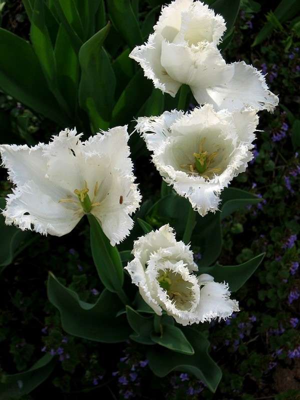 ... ����� Natali  ��������� �� PhotoGeek.ru #������ ��� ������� #����� ��������������