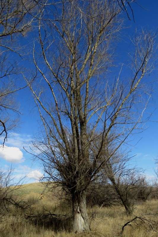 ... ����� Natali  ��������� �� PhotoGeek.ru #������ ��� ������� #����� ��������������