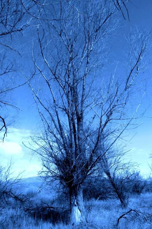 ... ����� Natali  ��������� �� PhotoGeek.ru #������ ��� ������� #����� ��������������