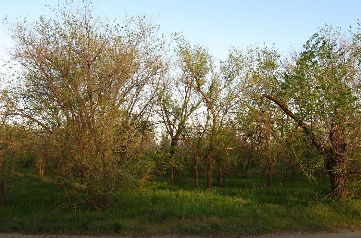 �������� ������� ����� Natali  ��������� �� PhotoGeek.ru #������ ��� �������