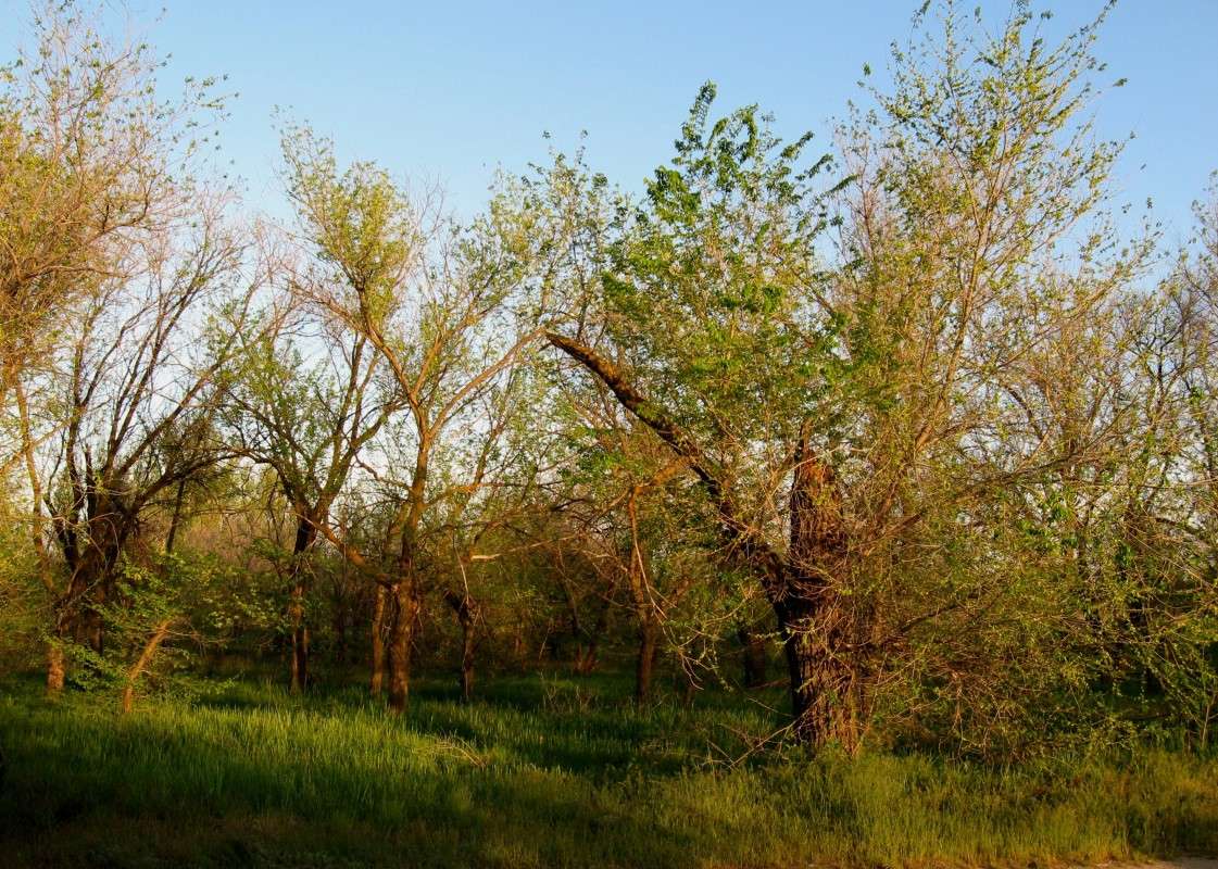 �������� ������� ...2 ����� Natali  ��������� �� PhotoGeek.ru #������ ��� �������