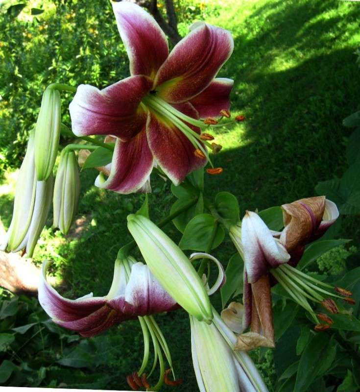 ... ����� Natali  ��������� �� PhotoGeek.ru #������ ��� ������� #����� ��������������