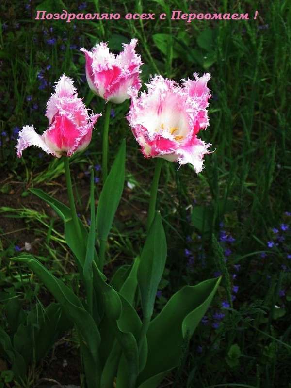 ���������� � ���������� ! ����� Natali  ��������� �� PhotoGeek.ru #�������� ����������