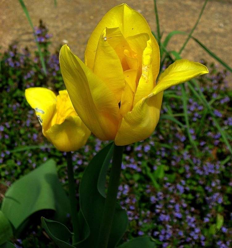 ... ����� Natali  ��������� �� PhotoGeek.ru #������ ��� ������� #����� ��������������