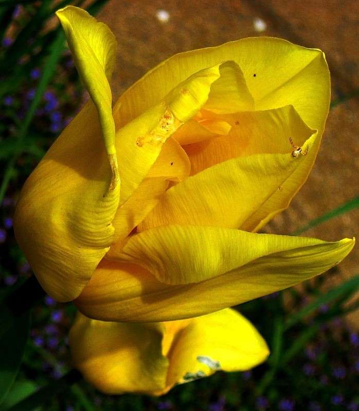 ... ����� Natali  ��������� �� PhotoGeek.ru #������ ��� ������� #����� ��������������