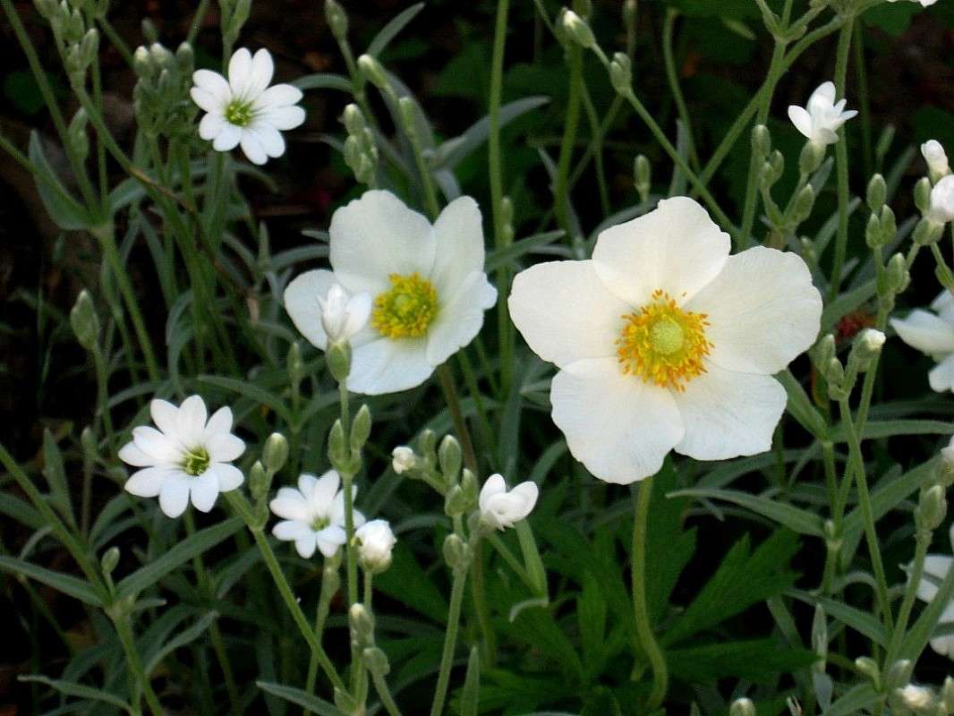 ... ����� Natali  ��������� �� PhotoGeek.ru #������ ��� ������� #����� ��������������