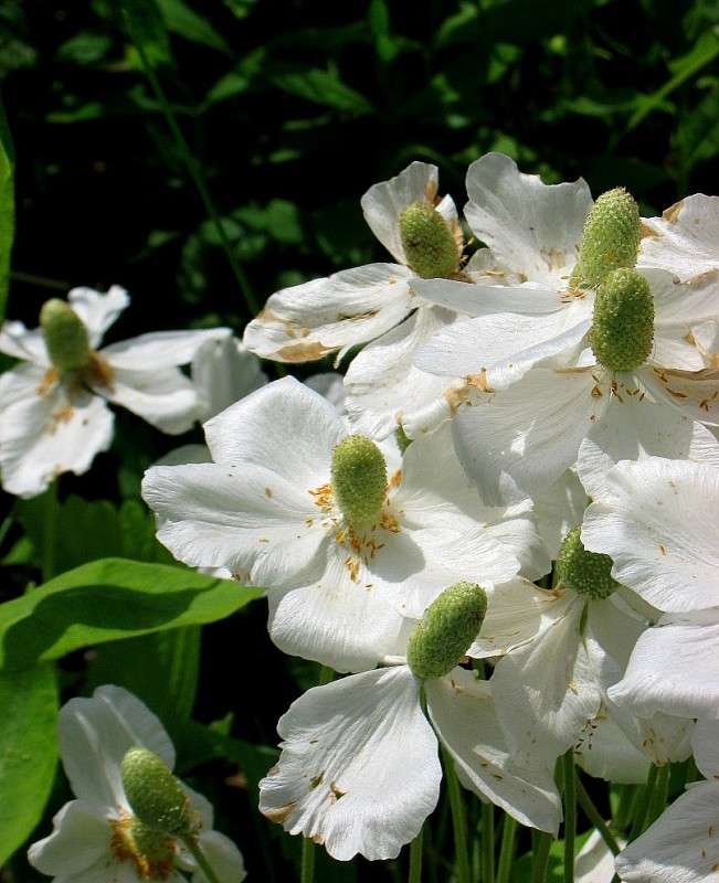 ... ����� Natali  ��������� �� PhotoGeek.ru #������ ��� ������� #����� ��������������