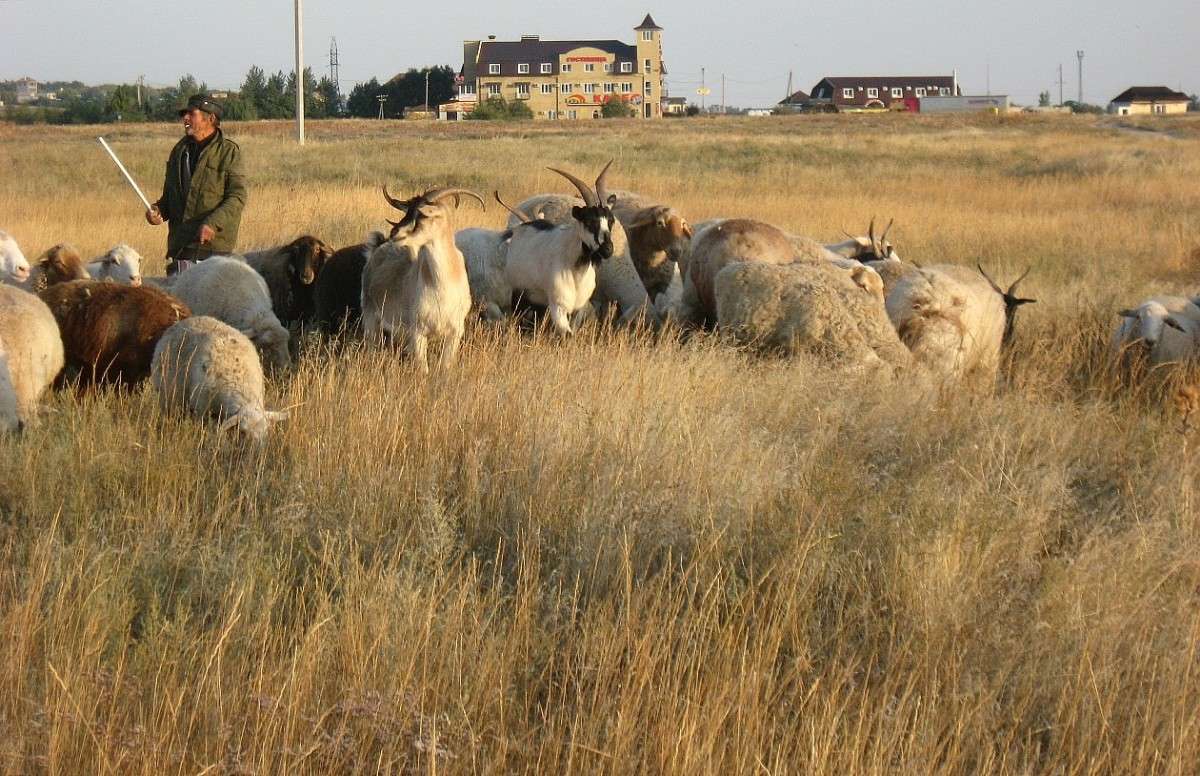 ... ����� Natali  ��������� �� PhotoGeek.ru #�������� ��� #�������� ���������� #�������� #���������������