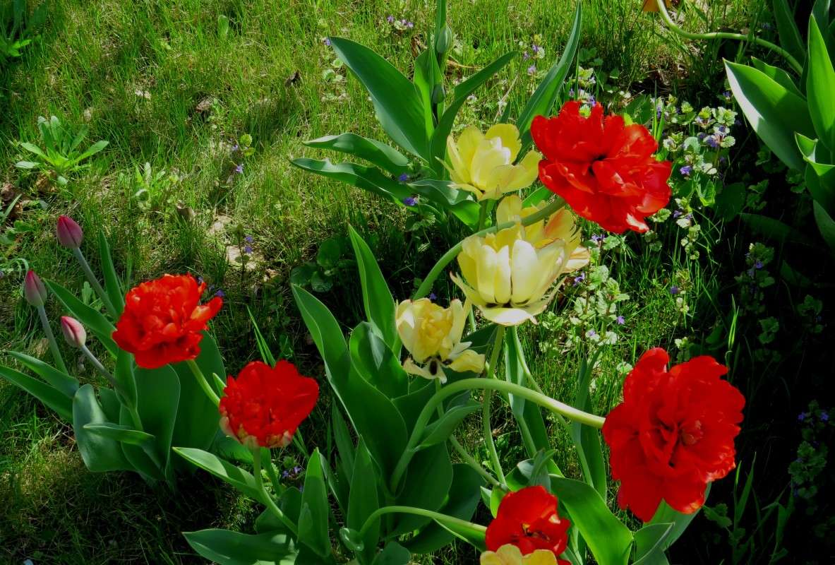 �������� � ��� 2015 ����� Natali  ��������� �� PhotoGeek.ru #������ ��� ������� #����� ��������������