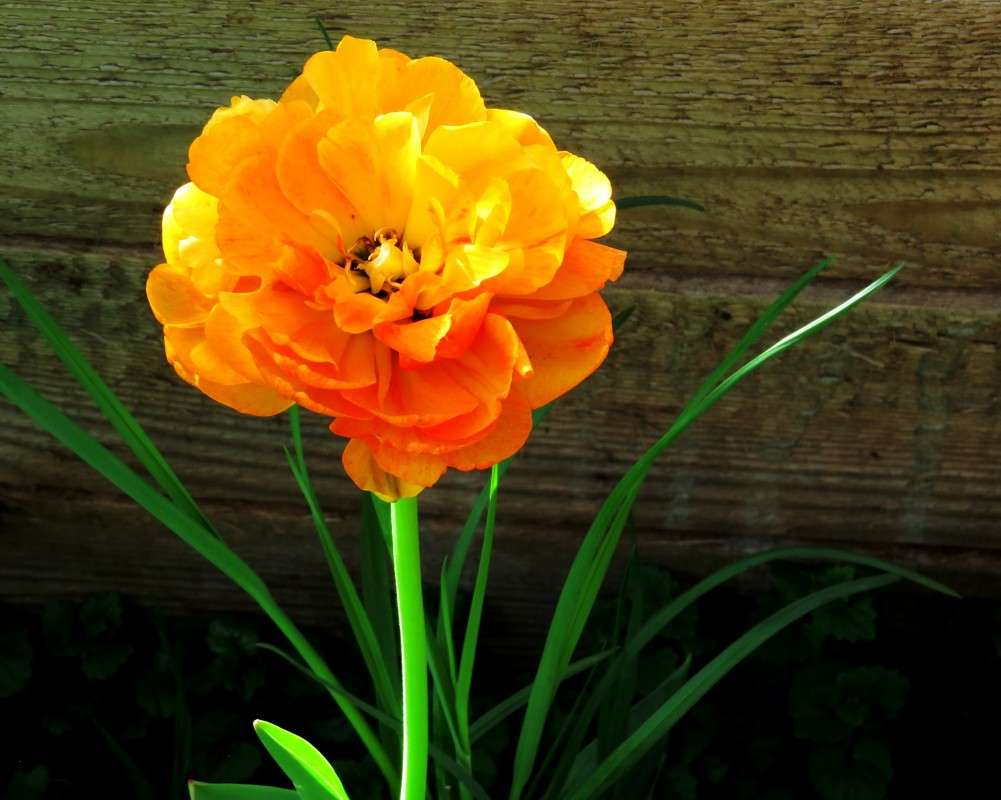 �������� ������ ������  ))) ����� Natali  ��������� �� PhotoGeek.ru #������ ��� �������