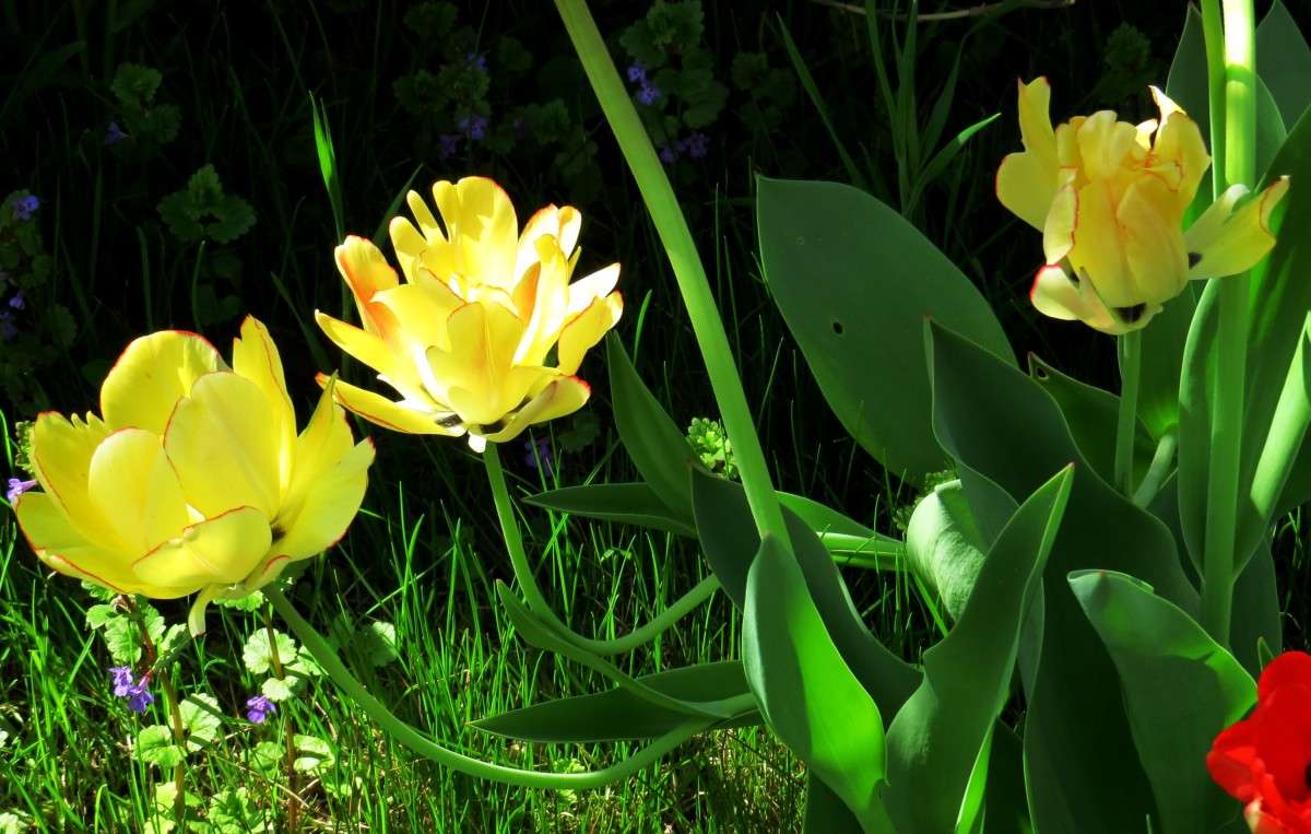 ��������� ���� ��� � ��������� ... ) ����� Natali  ��������� �� PhotoGeek.ru #������ ��� ������� #����� ��������������