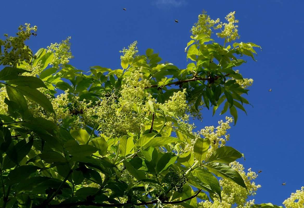 � ������ ������� ����� Natali  ��������� �� PhotoGeek.ru #������ ��� �������