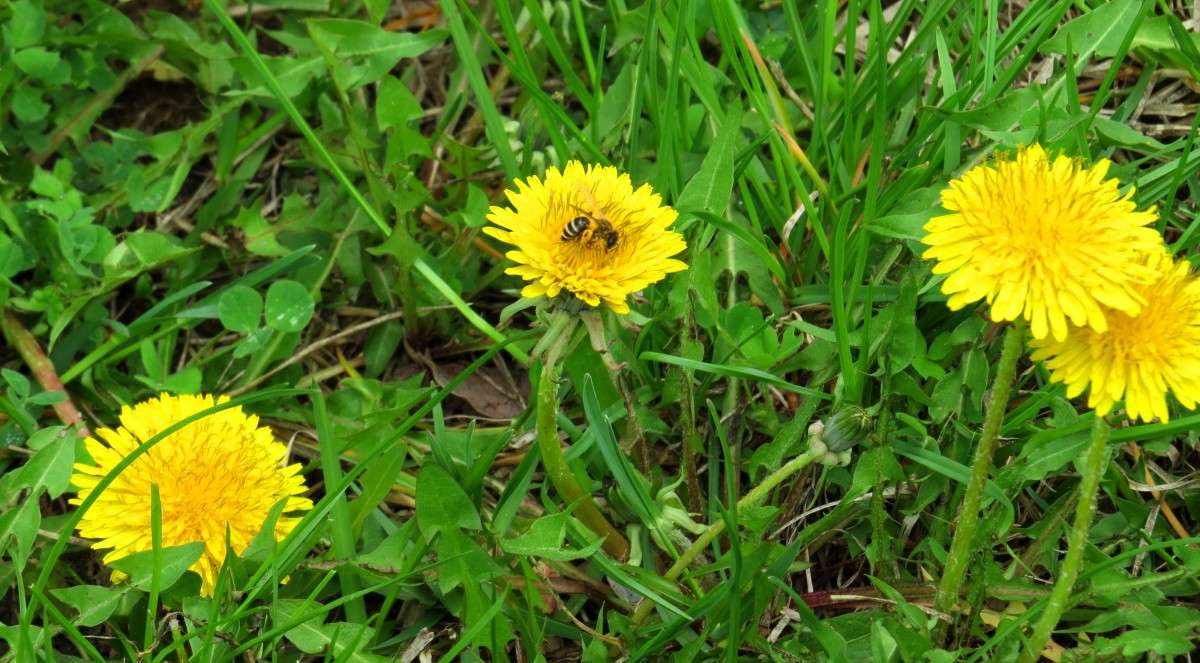 �������� ������ ����� Natali  ��������� �� PhotoGeek.ru #������ ��� ������� #����� ��������������