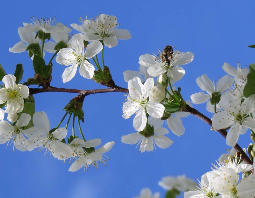 �������� ������ 2 ����� Natali  ��������� �� PhotoGeek.ru #������ ��� ������� #����� ��������������