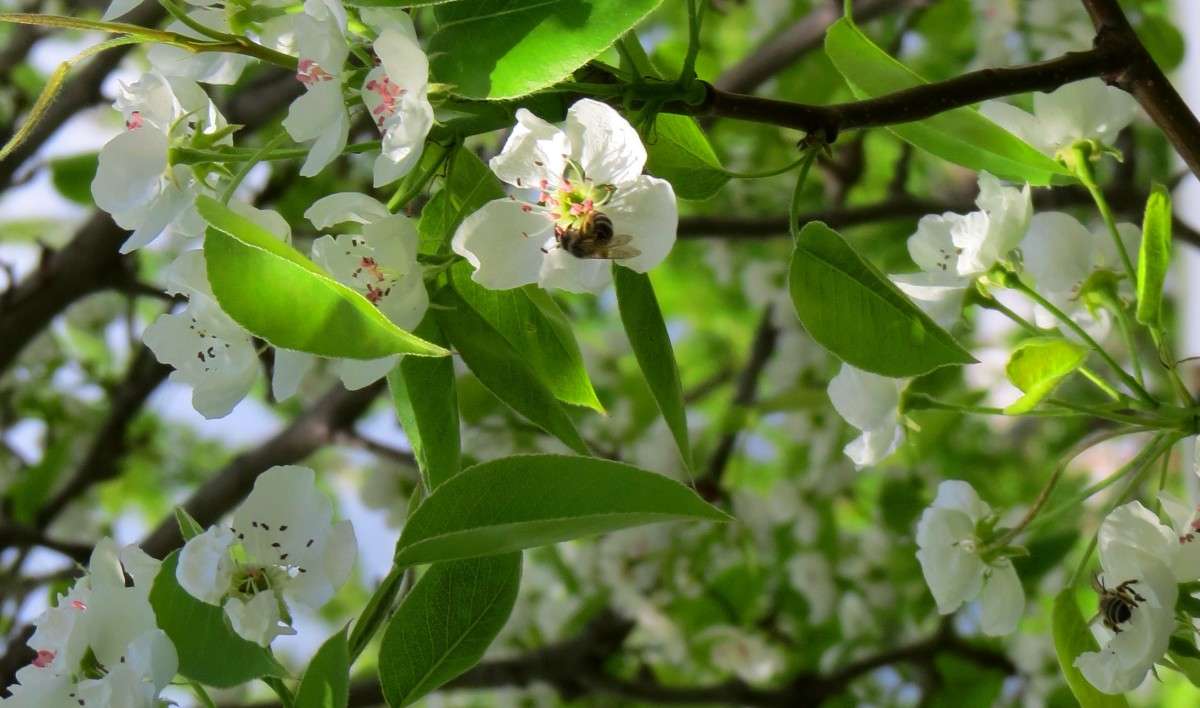 �������� ������ 3 ����� Natali  ��������� �� PhotoGeek.ru #������ ��� ������� #����� ��������������