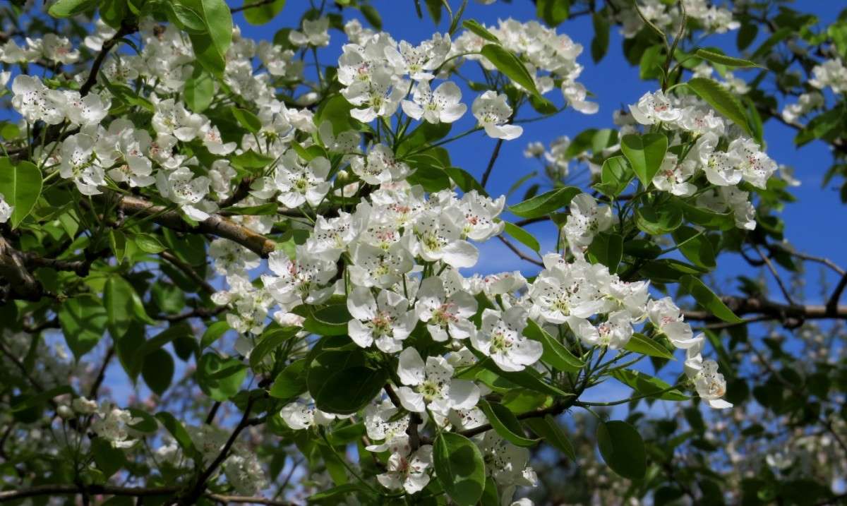 �������� �������� ����� Natali  ��������� �� PhotoGeek.ru #������ ��� ������� #����� ��������������