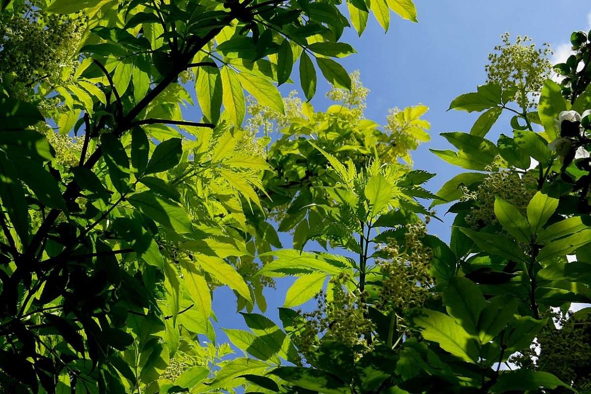 � ��������� �������� ...) ����� Natali  ��������� �� PhotoGeek.ru #������ ��� ������� #����� ��������������