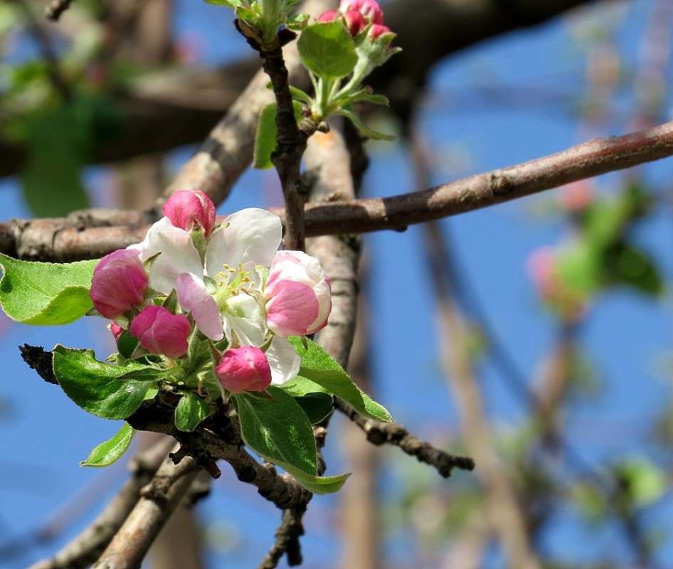 ... ����� Natali  ��������� �� PhotoGeek.ru #������ ��� ������� #����� ��������������