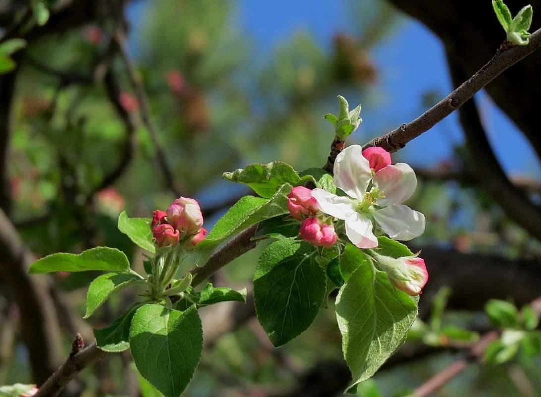 ... ����� Natali  ��������� �� PhotoGeek.ru #������ ��� ������� #����� ��������������