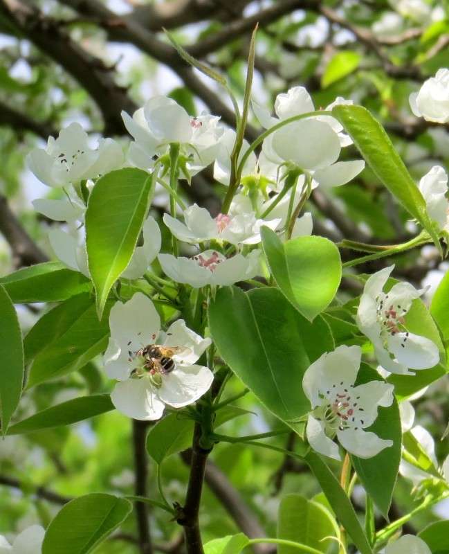 ... ����� Natali  ��������� �� PhotoGeek.ru #������ ��� ������� #����� ��������������