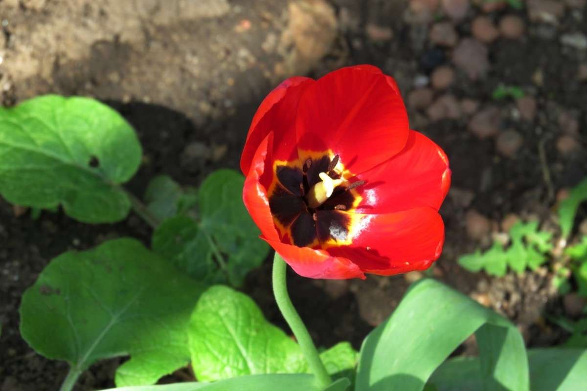 ... ����� Natali  ��������� �� PhotoGeek.ru #������ ��� ������� #����� ��������������