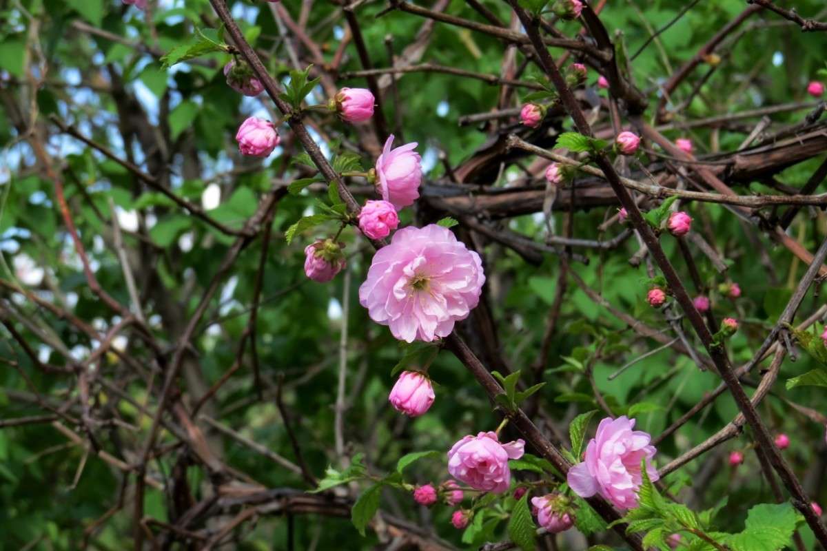 ... ����� Natali  ��������� �� PhotoGeek.ru #������ ��� ������� #����� ��������������