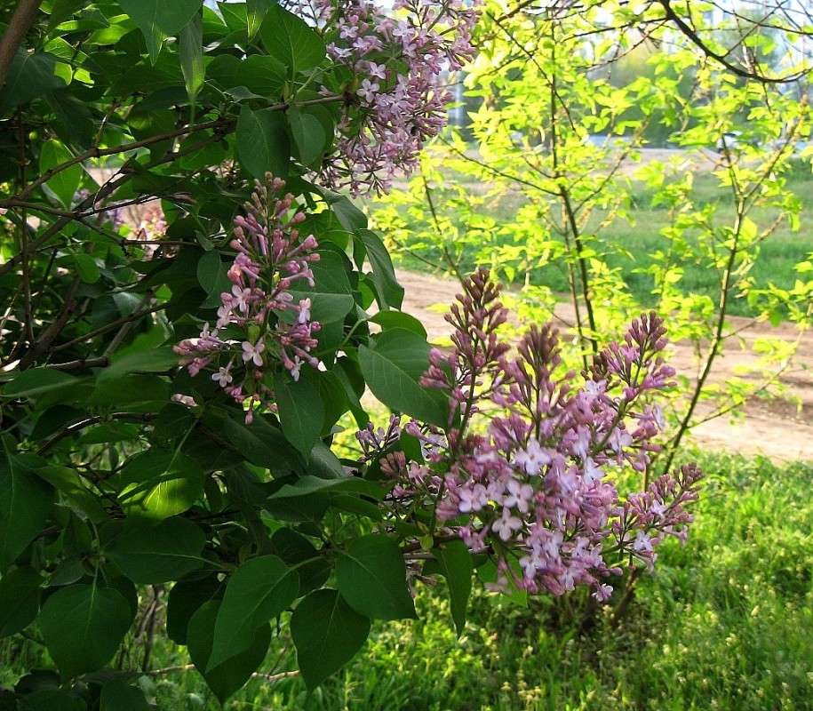 ... ����� Natali  ��������� �� PhotoGeek.ru #������ ��� ������� #����� ��������������