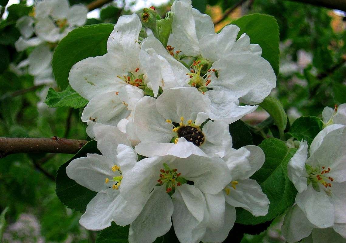 ... ����� Natali  ��������� �� PhotoGeek.ru #������ ��� ������� #����� ��������������