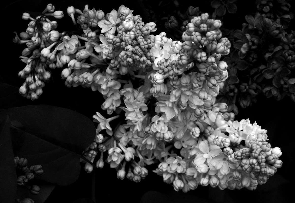 ����������� ))) ����� Natali  ��������� �� PhotoGeek.ru #������ ��� ������� #����� ��������������