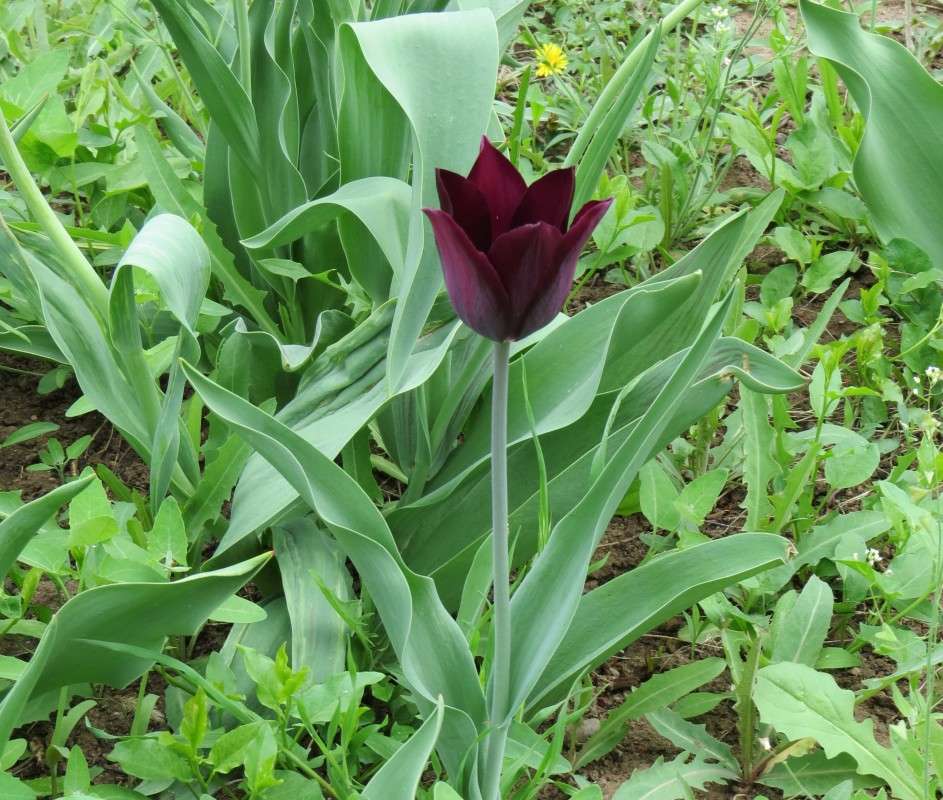 ... ����� Natali  ��������� �� PhotoGeek.ru #������ ��� ������� #����� ��������������