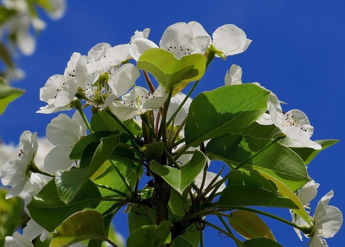 ... ����� Natali  ��������� �� PhotoGeek.ru #������ ��� ������� #����� ��������������