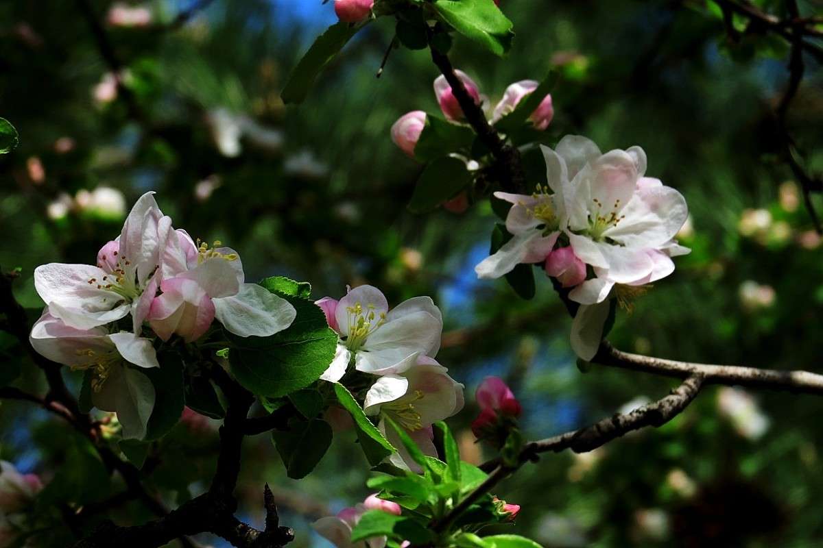 ... ����� Natali  ��������� �� PhotoGeek.ru #������ ��� ������� #����� ��������������