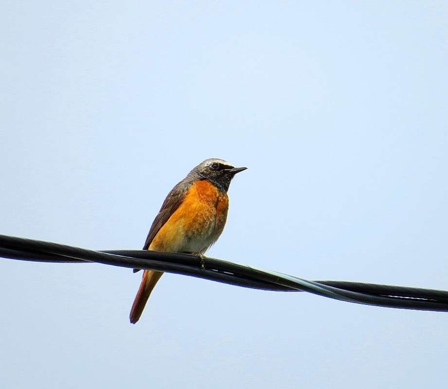 � ����, � ����� ))) ����� Natali  ��������� �� PhotoGeek.ru #�������� ��� #����� ��� ��� ���������