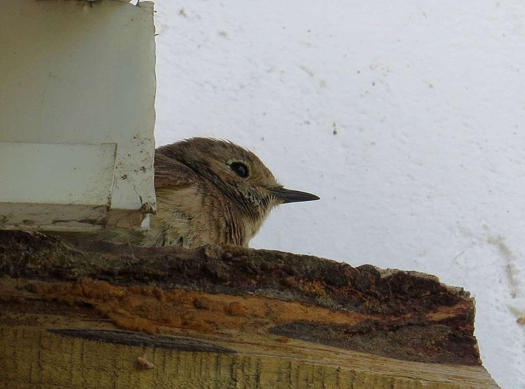 ������� � ������ ))) ����� Natali  ��������� �� PhotoGeek.ru #�������� ��� #����� ��� ��� ���������