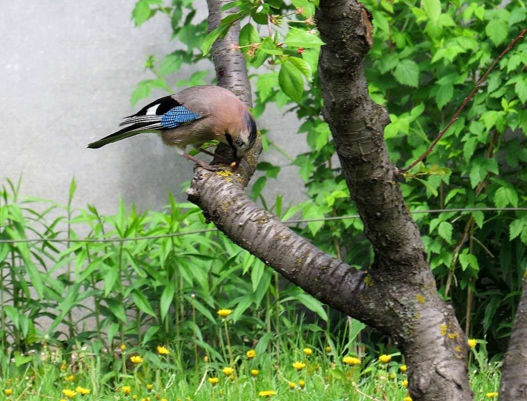 ������� ������� ����� Natali  ��������� �� PhotoGeek.ru #�������� ��� #����� ��� ��� ���������