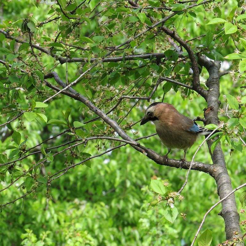 ������� ������� 2 ����� Natali  ��������� �� PhotoGeek.ru #�������� ��� #����� ��� ��� ���������