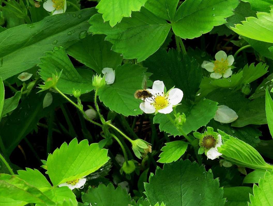 �������� ����� ����� ����� Natali  ��������� �� PhotoGeek.ru #������ ��� ������� #����� ��������������